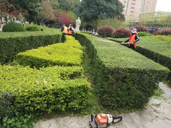 沁阳城市绿化管理包含哪些项目