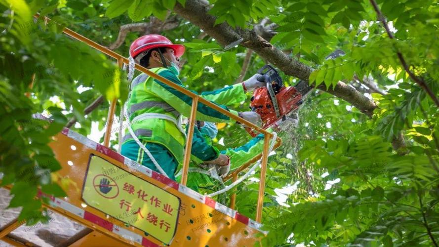 太行山绿化工程与精准扶贫